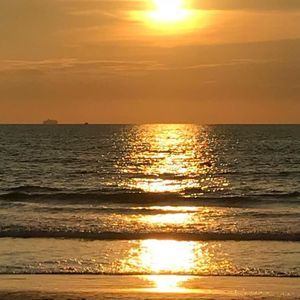 Meet your Posher, Robyn